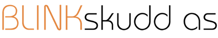 Custom Logo