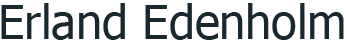 Custom Logo