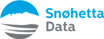 Custom Logo