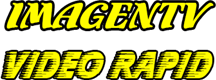 Custom Logo