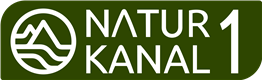 Custom Logo