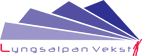 Custom Logo