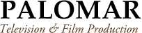 Custom Logo