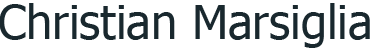 Custom Logo