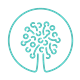 Custom Logo
