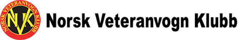 Custom Logo