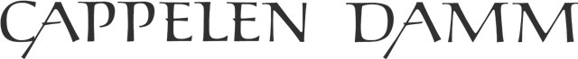 Custom Logo