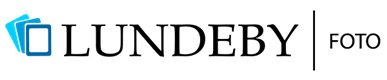 Custom Logo